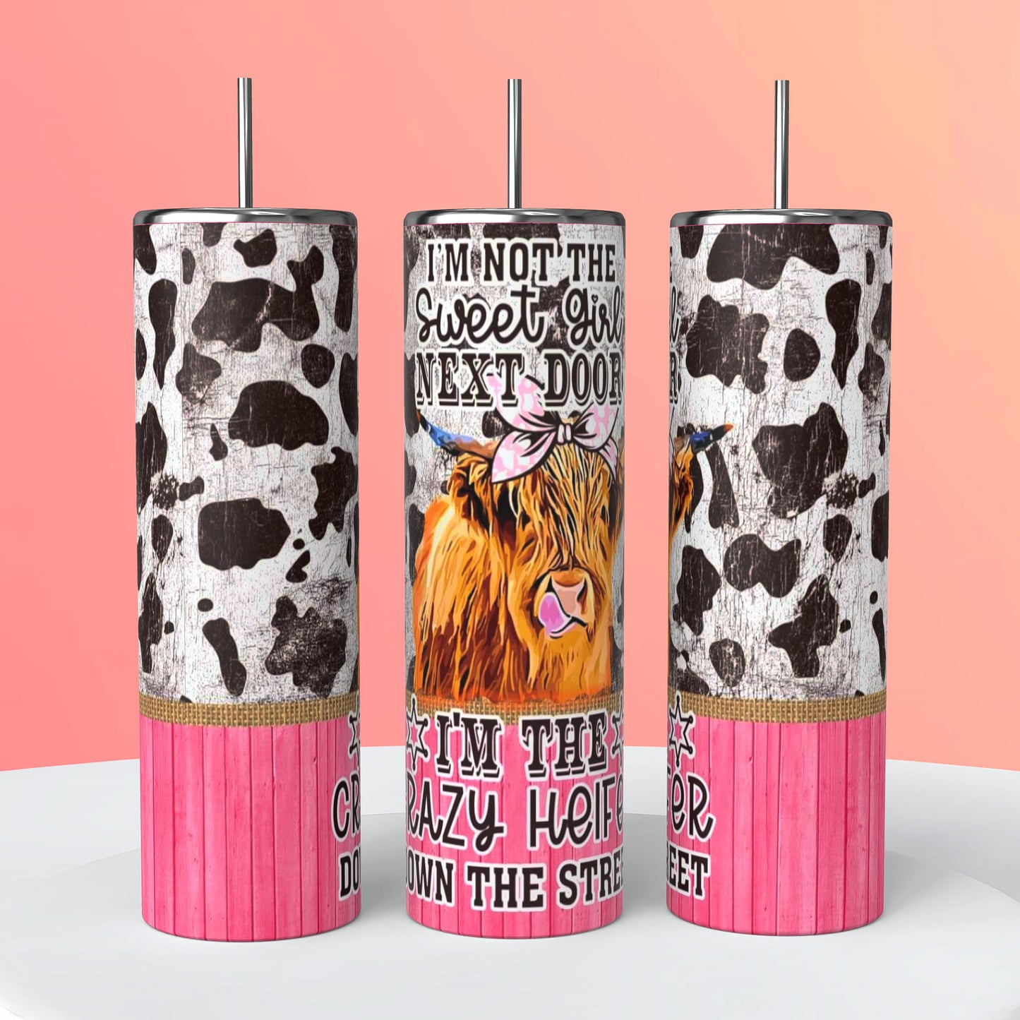 I'm Not The Sweet Girl Next Door I'm The Crazy Heifer Down The Street | Bullskull Tumbler | Sassy & Southern | 20oz Tumblers