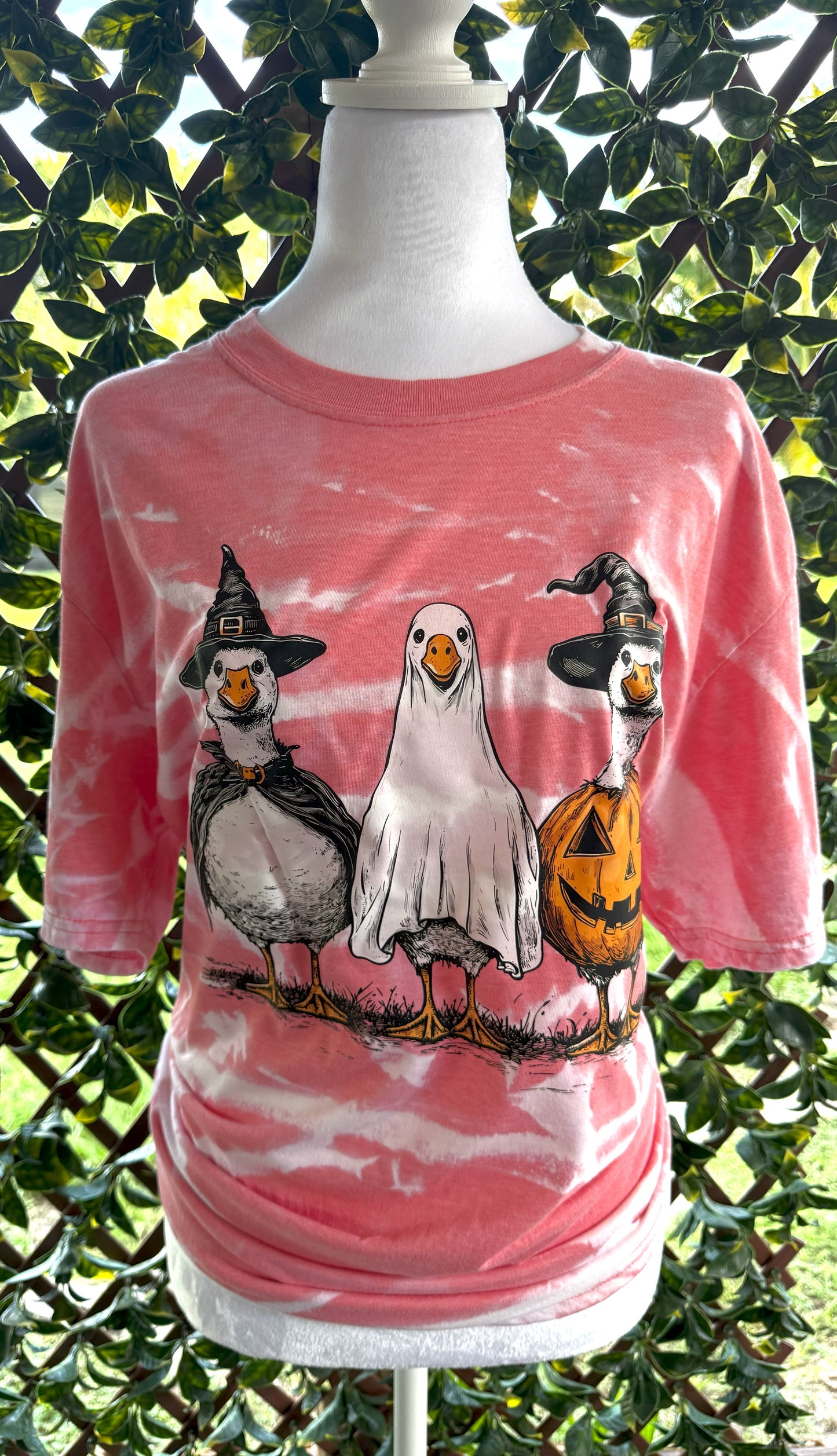 Halloween Ducks | Halloween Tees | DTF Designs