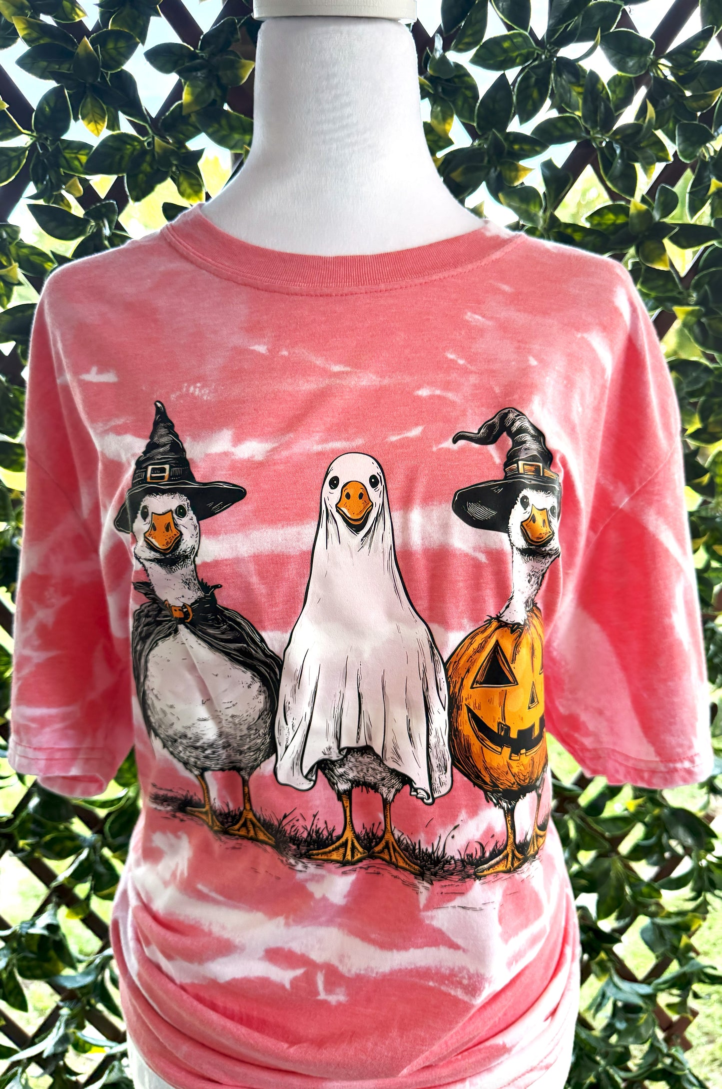 Halloween Ducks | Halloween Tees | DTF Designs