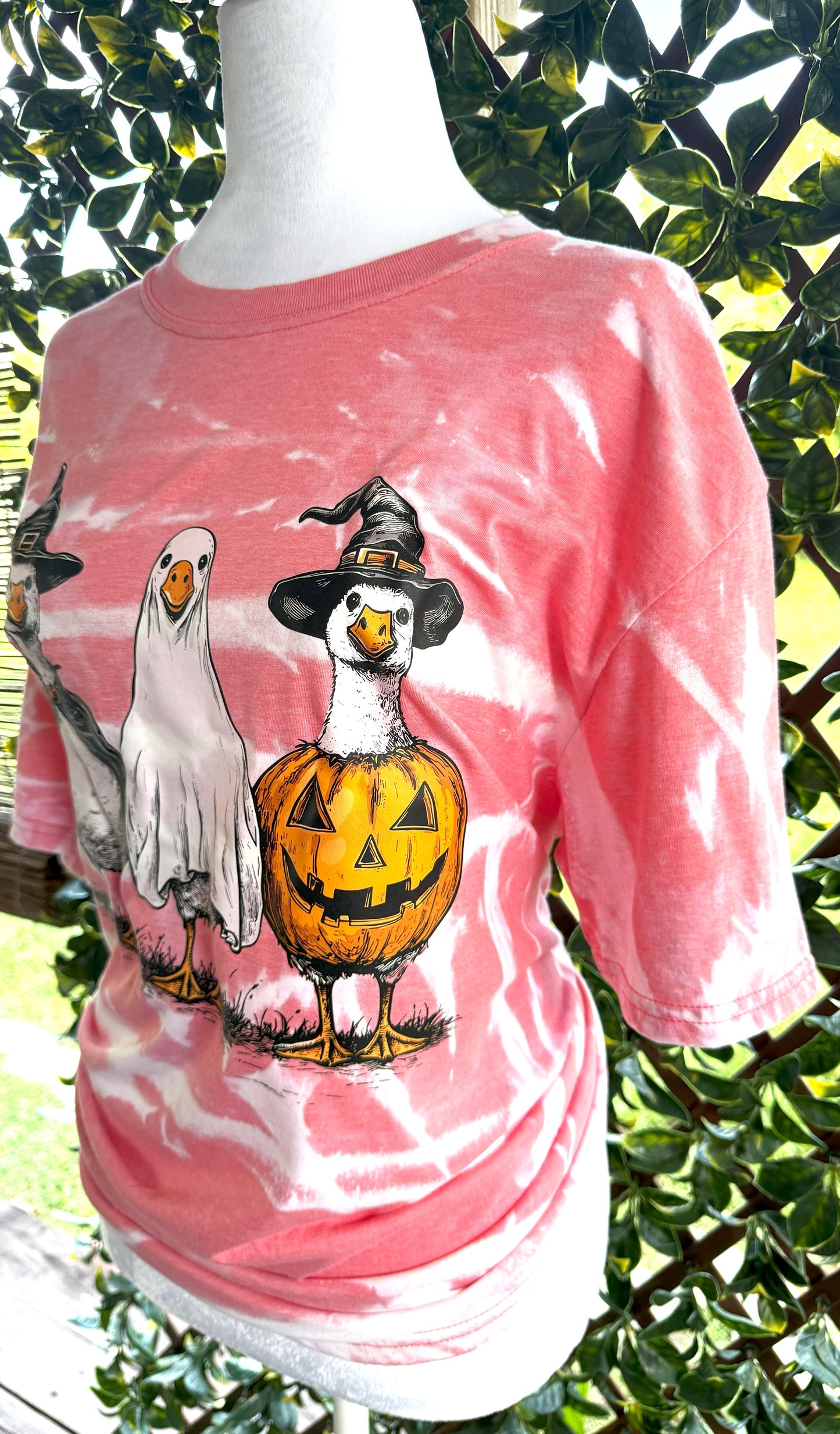 Halloween Ducks | Halloween Tees | DTF Designs