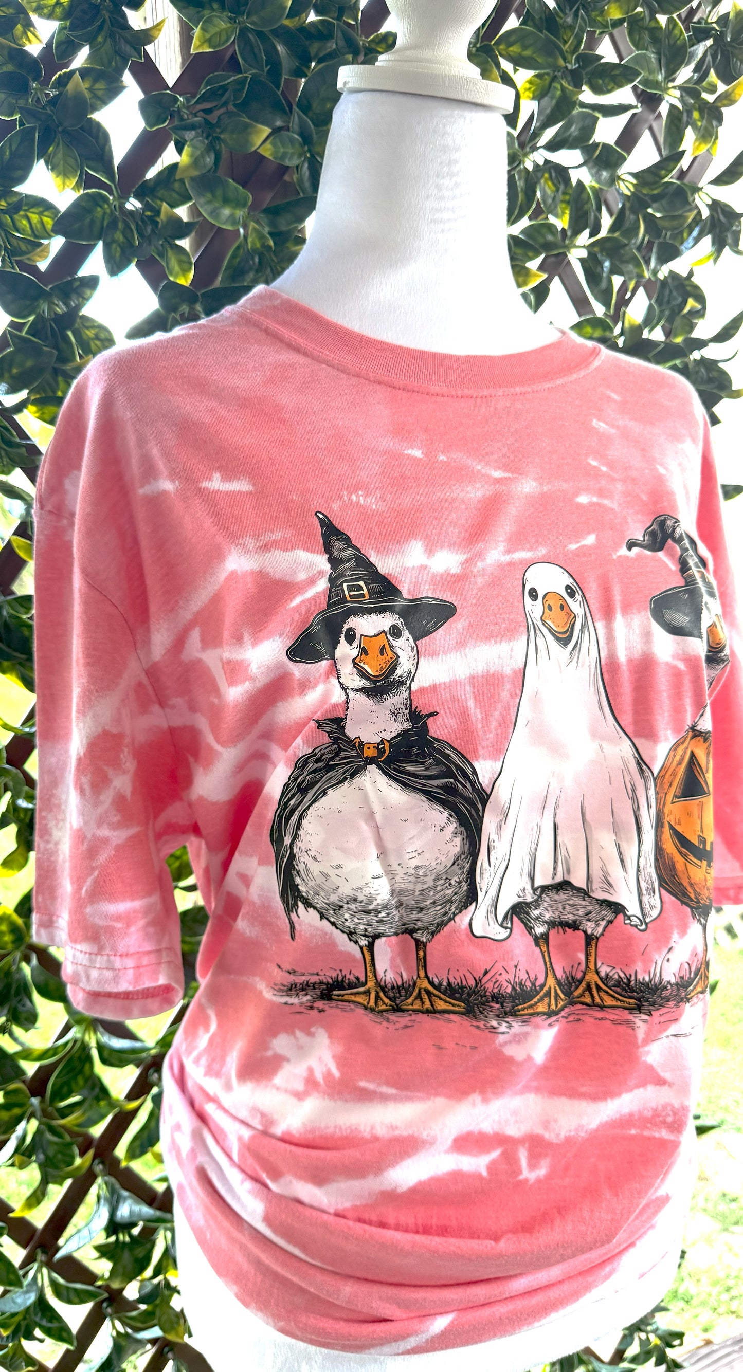 Halloween Ducks | Halloween Tees | DTF Designs