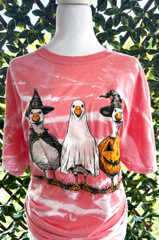 Halloween Ducks | Halloween Tees | DTF Designs