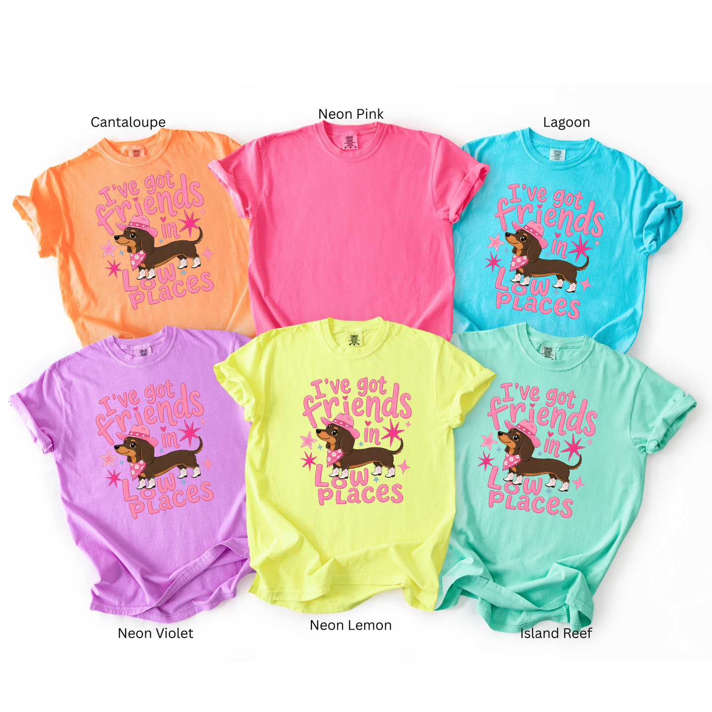 I've Got Friends in Low Places Funny Alligator Graphic Tee | Southern Country Shirt | Florida Gator Tee | Comfort Colors Neon Shirt